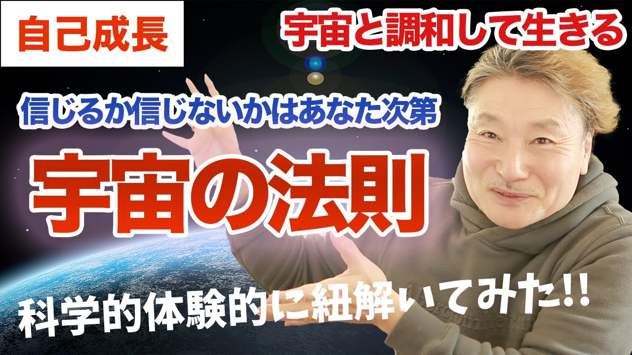 動画制作実績