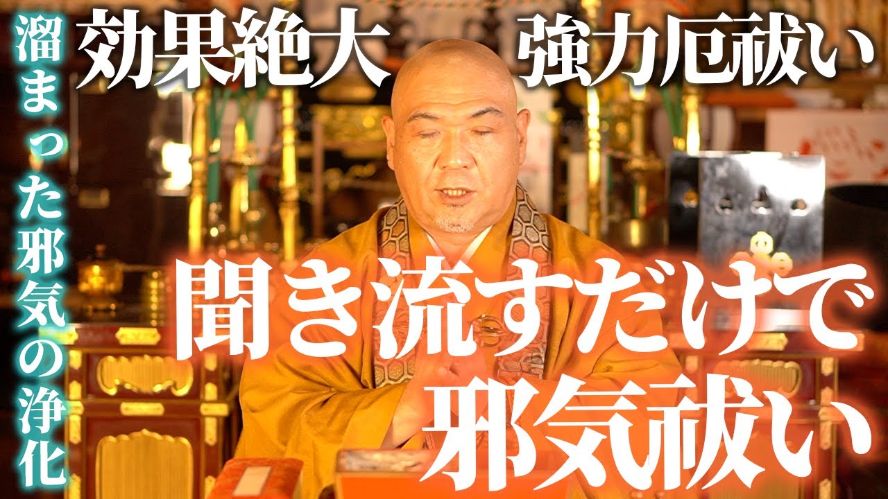 動画制作実績